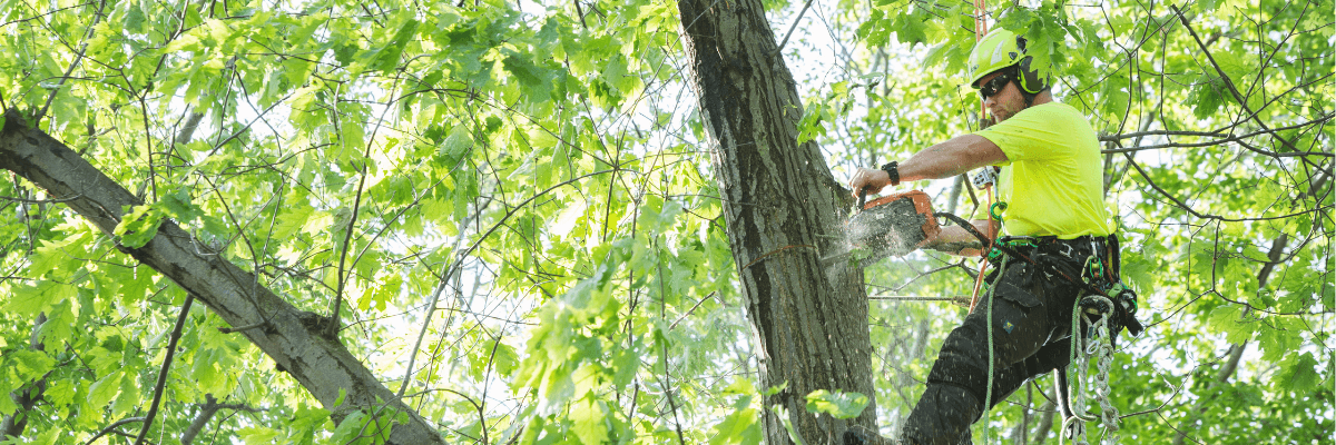 Men's T-Shirts category banner image