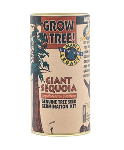 Jonsteen Giant Sequoia Kit