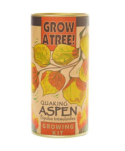 Jonsteen Quaking Aspen Kit