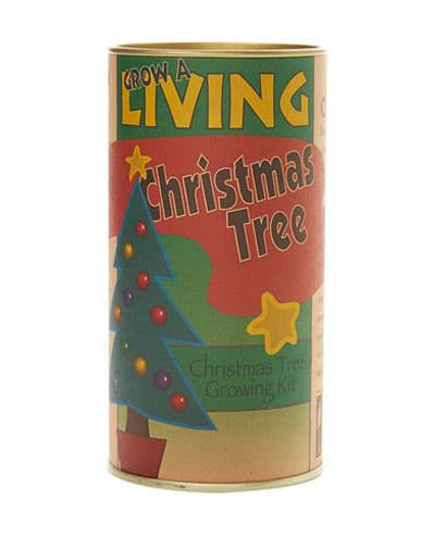Christmas Tree Seed Grow Kit