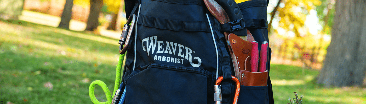 Arborist Gear